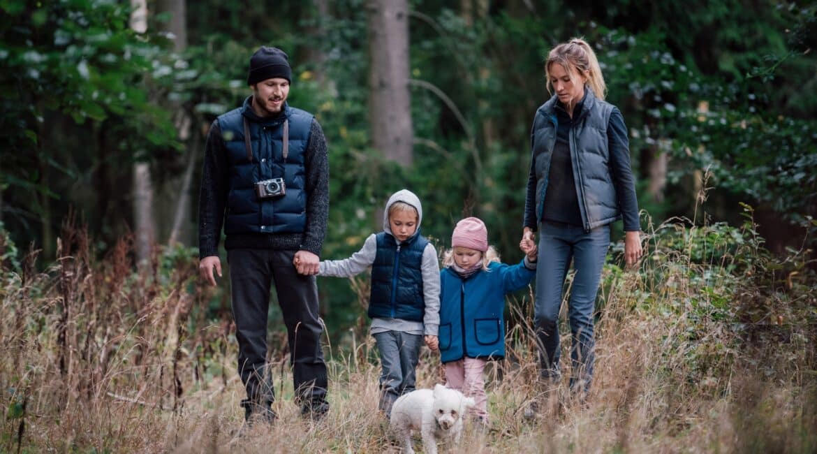 電熱ベストおすすめ6選【2026年版】ワークマンだけじゃない！最強ヒートベストを探せ