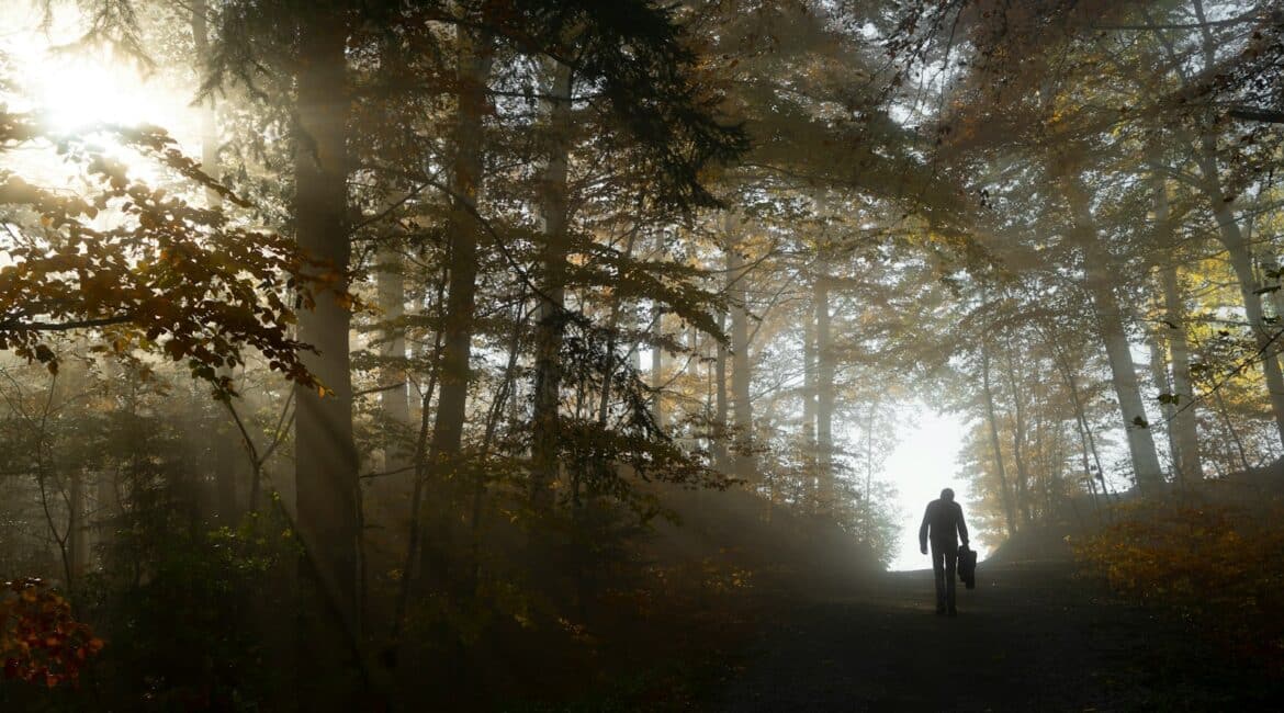 サバイバル映画おすすめ10選｜生きるためにできること