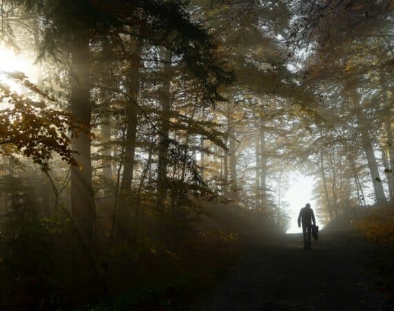 a person riding a bike on a trail in the woods