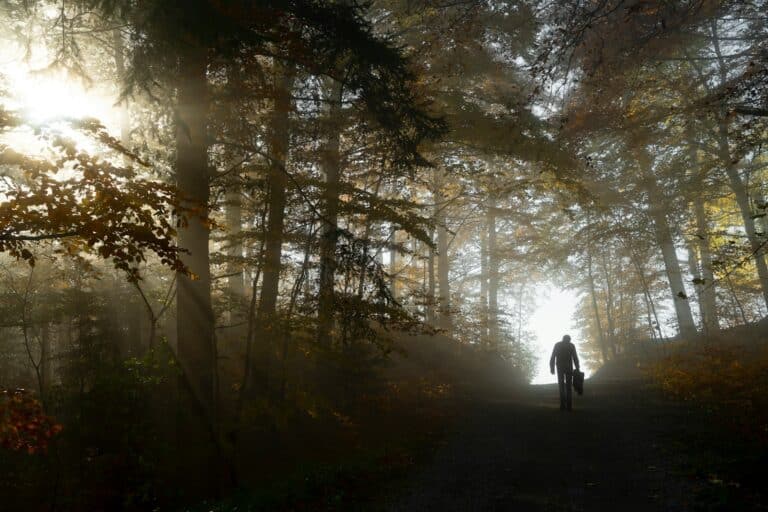 a person riding a bike on a trail in the woods