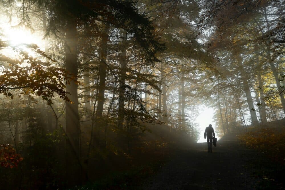 サバイバル映画おすすめ10選|生きるためにできること a person riding a bike on a trail in the woods